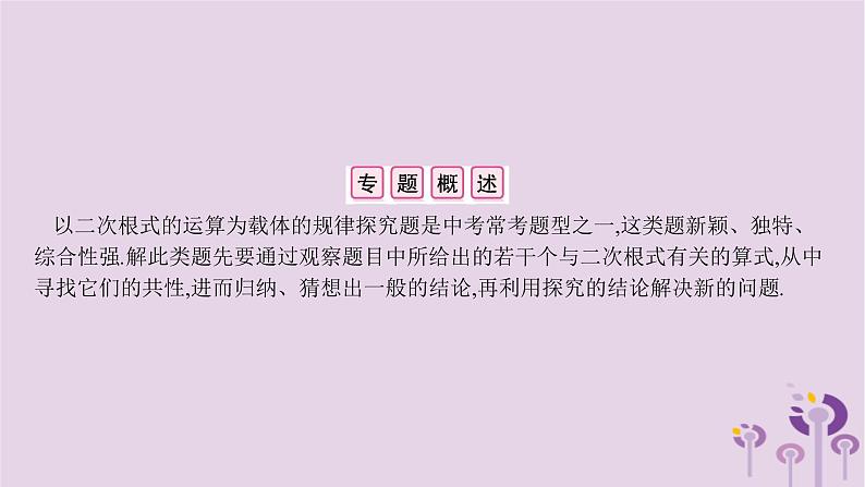人教版八年级数学下册小专题二二次根式运算规律的探究课件课时作业02