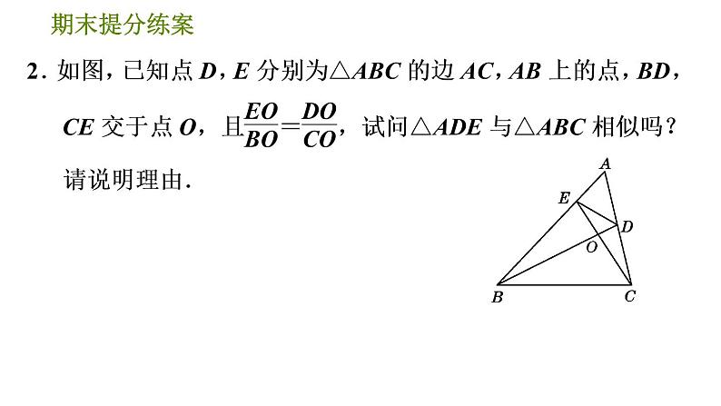 人教版数学九年级下册  3.2  《巧用“基本图形”探索相似条件》训练课件（含答案）05