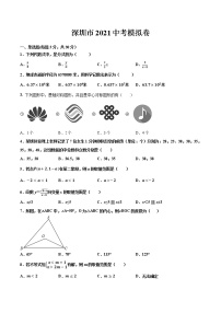 广东省深圳市2021年九年级中考数学模拟卷（word版 含答案）