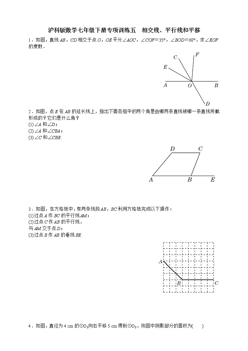 沪科版数学七年级下册专项训练五　相交线、平行线和平移01