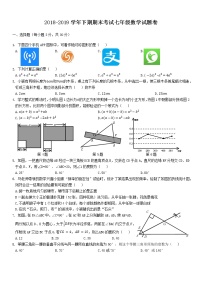 2018—2019学年河南省郑州市七年级下期末测试