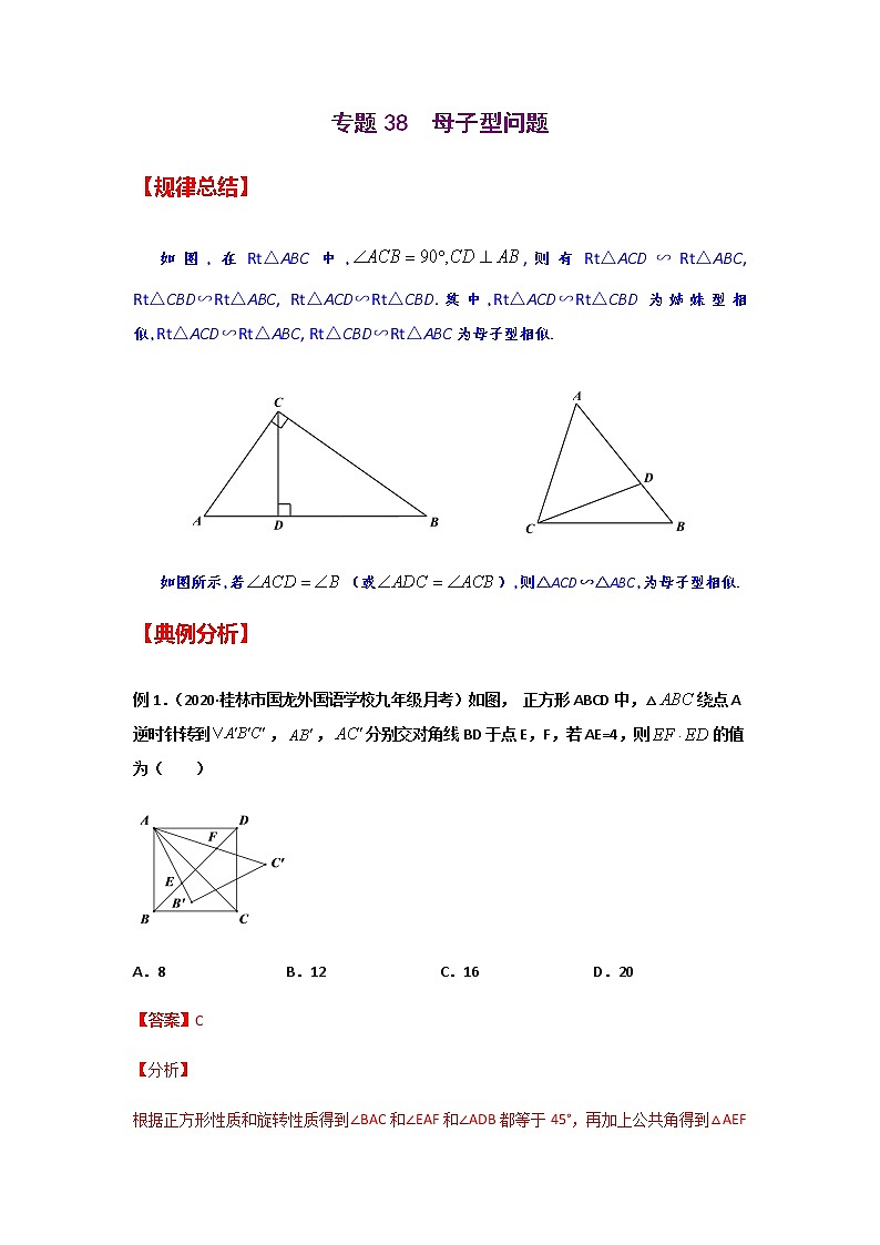 专题38  母子型问题-2021年中考数学二轮复习经典问题专题训练01