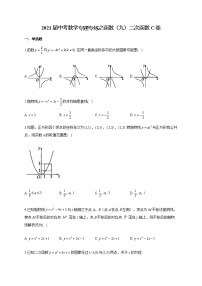 2021届中考数学专题专练之函数（九）二次函数C卷