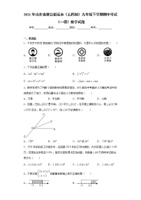 2021年山东省烟台招远市（五四制）九年级下学期期中考试（一模）数学试题（word版 含答案）