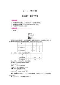 2020-2021学年第六章 实数6.1 平方根第1课时教学设计