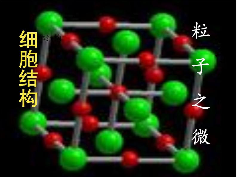 苏科版七年级数学上册课件 1.1 生活 数学05