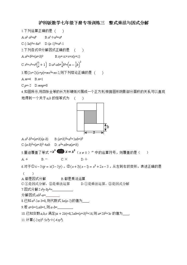 沪科版数学七年级下册专项训练三　整式乘法与因式分解01