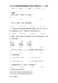 2021年云南省昆明市禄劝初中学业水平模拟考试（一）数学（word版 含答案）