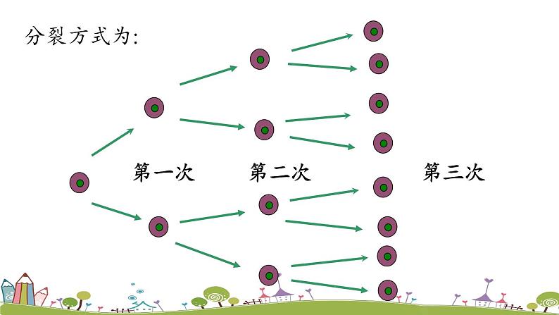 人教版数学七年级上册 1.5《有理数的乘方课时1》PPT课件06