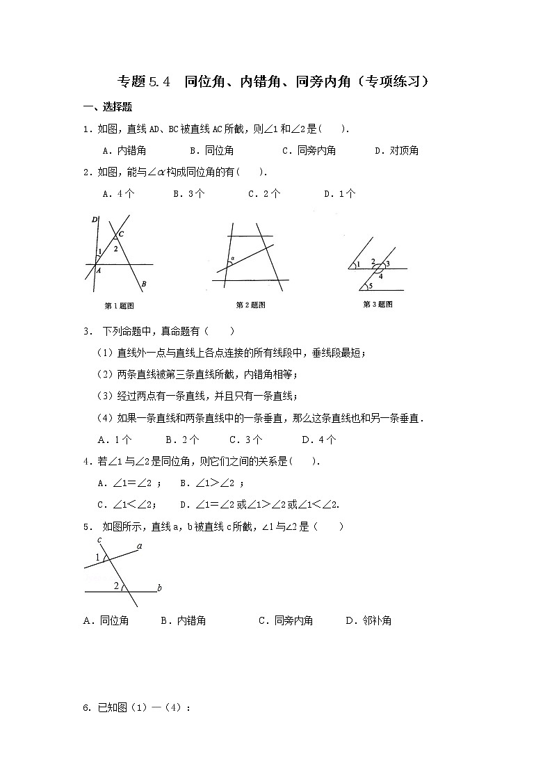 专题5.4 同位角、内错角、同旁内角（专项练习）-2020-2021学年七年级数学下册基础知识专项讲练（人教版）第1页