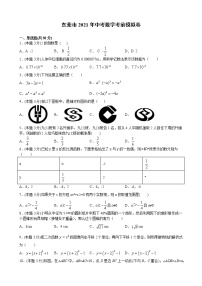 2021年中考考前冲刺模拟数学试卷（原卷 解析）(广东省东莞市专用）（word版 含答案）