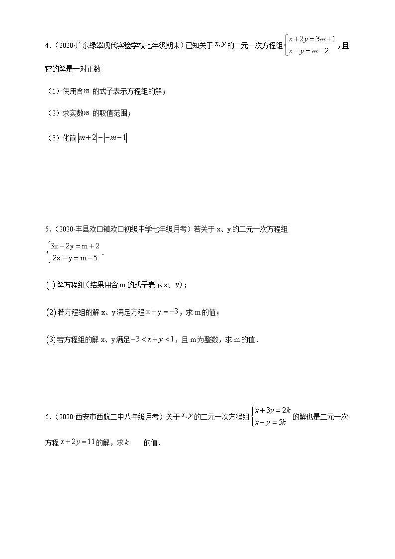 专项08 二元一次方程组含参综合七年级数学下册培优专项（人教版）试卷02