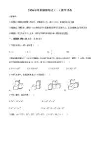 河南省2020届九年级下学期中招第一次模拟考试数学试卷