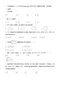 2021年安徽合肥瑶海区三十八中分校九年级中考三模数学试题