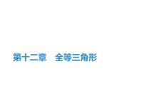 人教版八年级上册12.1 全等三角形复习ppt课件