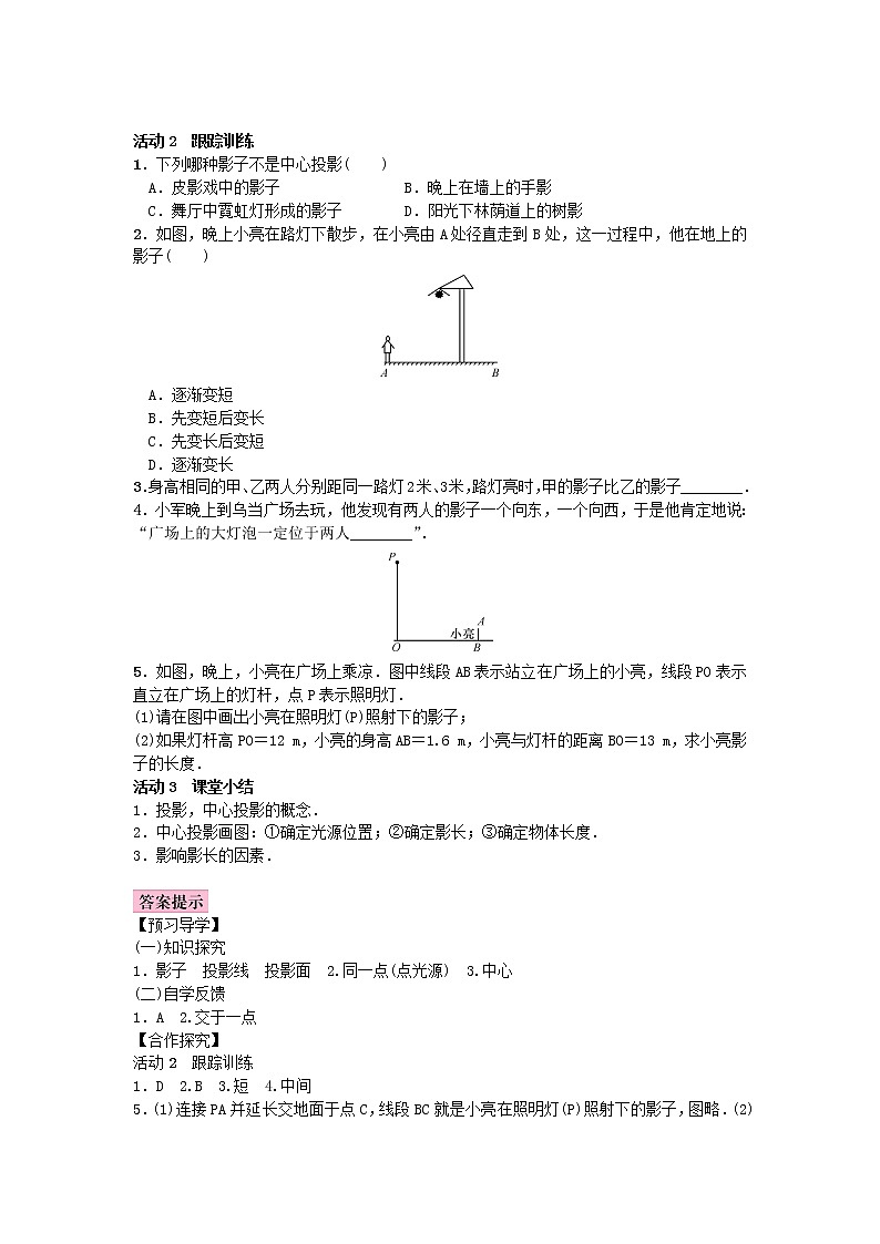 北师大版九年级数学同步课时练习：5.1 投影第2页