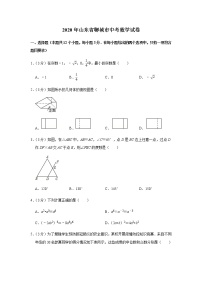 2020年山东省聊城市中考数学试卷