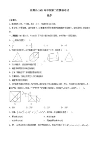 2021年河南省汝阳县中招第二次模拟考试数学试题