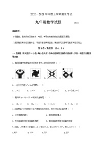 山东省临沂市临沭县2020-2021学年九年级上学期期末考试数学试题（word版 含答案）