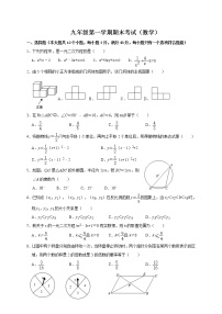 山东省济南市济阳区2020-2021学年九年级上学期期末考试数学试题（word版 含答案）