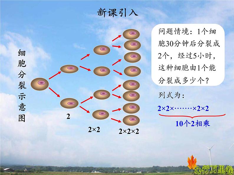 人教版数学初中七年级上册第一章1.5 有理数的乘方1.5.1 乘方第1课时 有理数的乘方乘方课件03