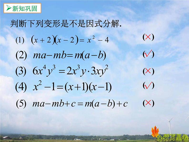 人教版数学初中八年级上册第十四章第三节第1课时提公因式法课件第5页