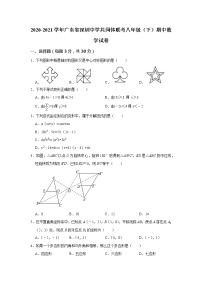 广东省深圳市深圳中学2020-2021学年八年级下学期期中数学试题