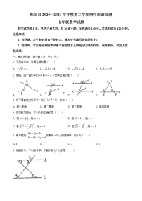 吉林省松原市乾安县2020-2021学年七年级下学期期中数学试题