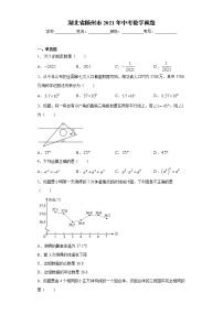 湖北省随州市2021年中考数学真题（word版 含答案）