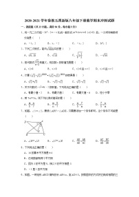 2020-2021学年鲁教版（五四制）八年级下册数学期末冲刺试题（word版 含答案）