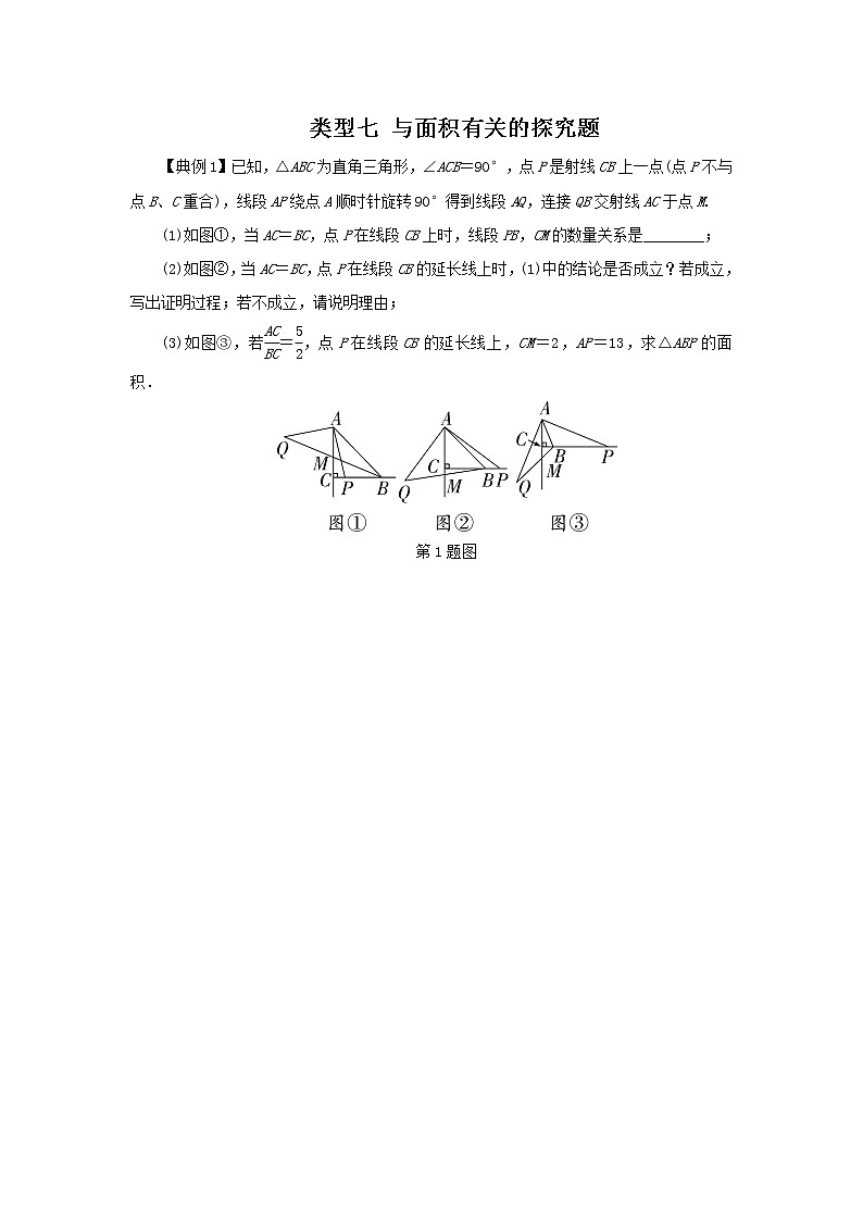 类型七 与面积有关的探究题-2021年中考数学二轮复习重难题型突破01