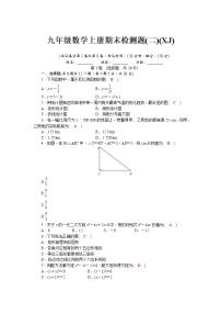 浙教版 九年级数学上册期末检测试卷（二）