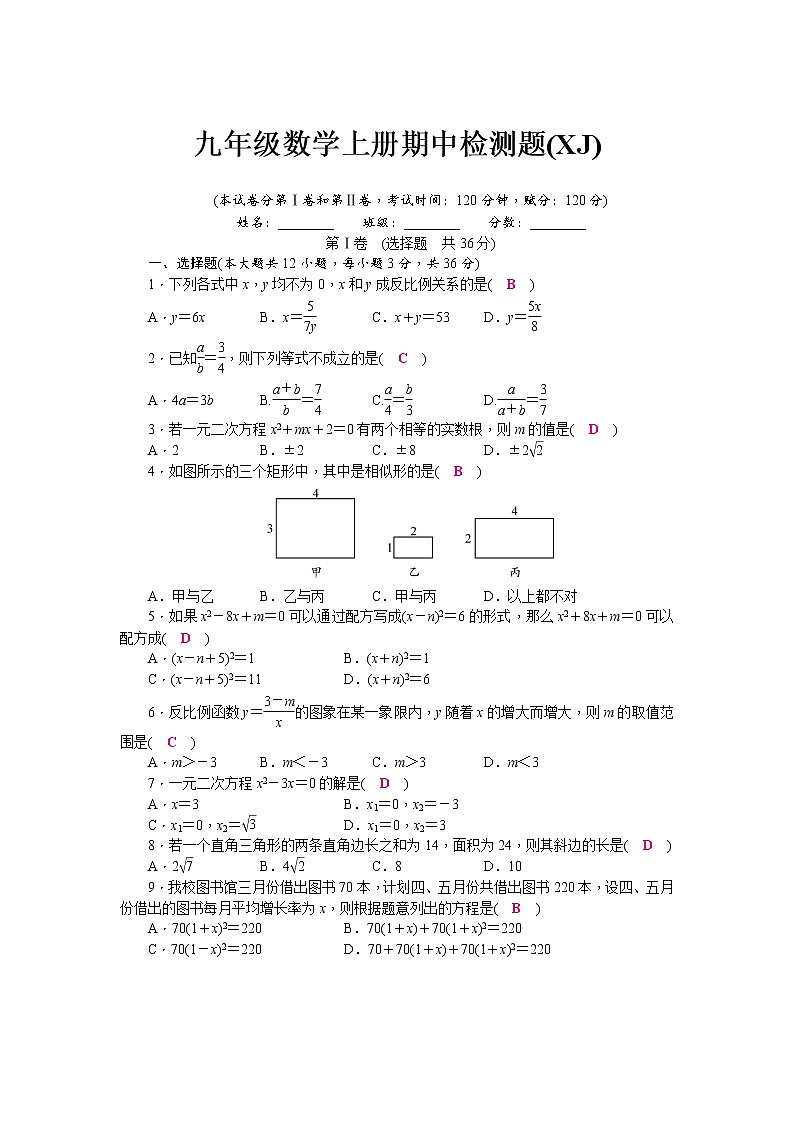 浙教版 九年级数学上册期中检测试卷01
