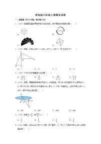 青岛版八年级上册期末试卷（含答案）