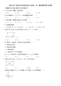 2021年广东省中山市香山区八年级（下）期末数学复习试卷  word版，含答案