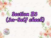 人教版八年级上册 U9 Section B 3a-self check课件
