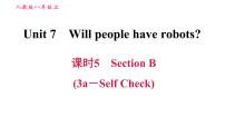 人教新目标 (Go for it) 版八年级上册Section B习题ppt课件