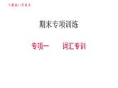 人教版八年级上册英语习题课件 期末专训训练 专项一　词汇专训