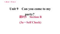 初中英语Unit 10 If you go to the party you’ll have a great time!Section A习题课件ppt