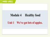 外研版七年级上册英语习题课件 Module 4 Unit 1 We've got lots of apples.