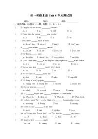 初中英语人教新目标 (Go for it) 版七年级上册Unit 6 Do you like bananas?综合与测试单元测试精练