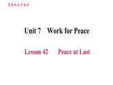 冀教版九年级英语 Unit7 Lesson 42 Peace at Last 习题课件