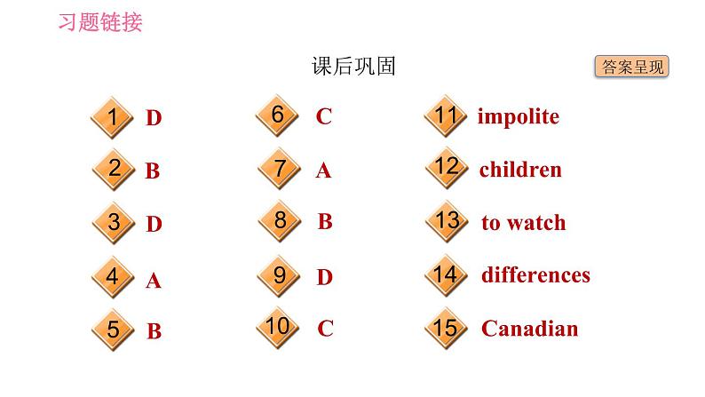 冀教版九年级英语 Unit8 Lesson 45 Different Manners 习题课件第4页