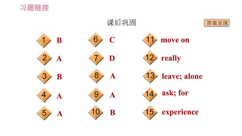 冀教版九年级英语全一册习题课件 Unit9 Lesson 51 What Could Be Wrong第4页
