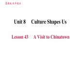 冀教版九年级英语全一册 Unit8 Lesson 43 A Visit to Chinatown 习题课件