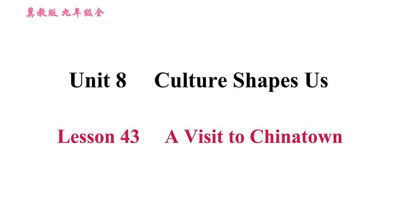 冀教版九年级英语全一册 Unit8 Lesson 43 A Visit to Chinatown 习题课件01