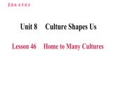 冀教版九年级英语全一册 Unit8 Lesson 46 Home to Many Cultures 习题课件