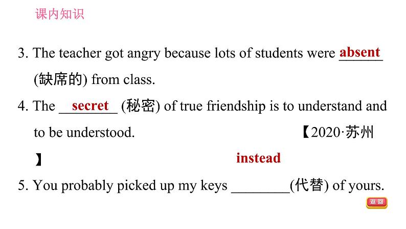 冀教版九年级英语全一册习题课件 Unit9 Lesson 53 Working in Groups08