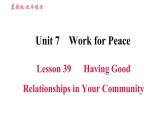 冀教版九年级英语全一册习题课件 Unit7 Lesson 39 Having Good Relationships in Your Community