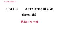 人教新目标 (Go for it) 版九年级全册Unit 13 We’re trying to save the earth!综合与测试习题课件ppt